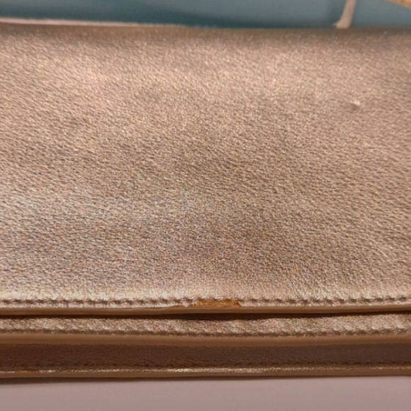 Aritzia Babaton | Emile | Champagne/Gold | Crossbody - Picture 12 of 12